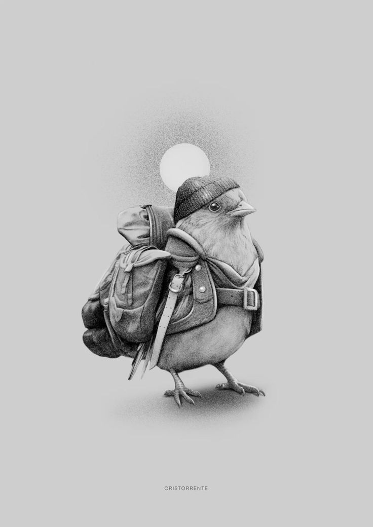 a drawing of a bird with a backpack on it's back and the moon in the background