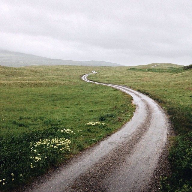 a dirt road in the middle of an open field with grass and wildflowers