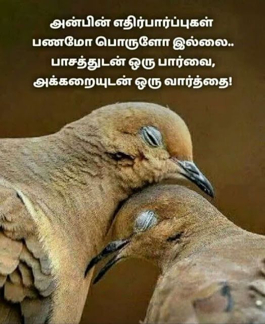 two birds with their heads touching each other's beaks in front of a quote