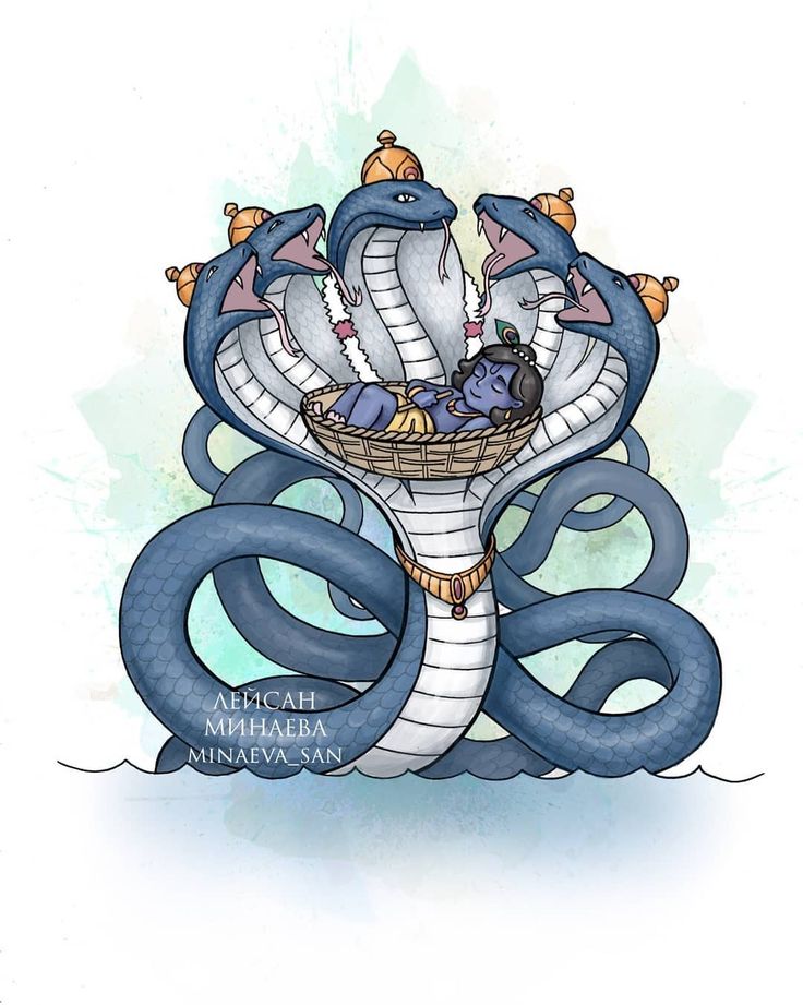 an illustration of two snakes in a basket