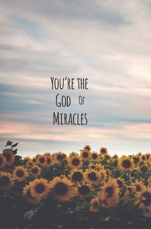 sunflowers with the words you're the god of miracles in front of them