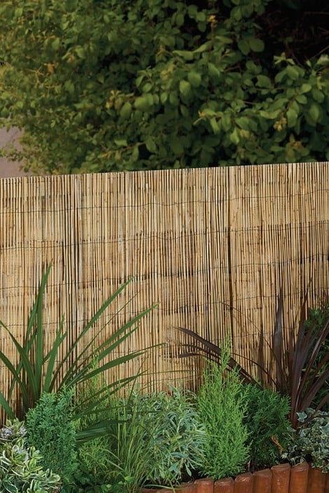 a bamboo fence with plants in it