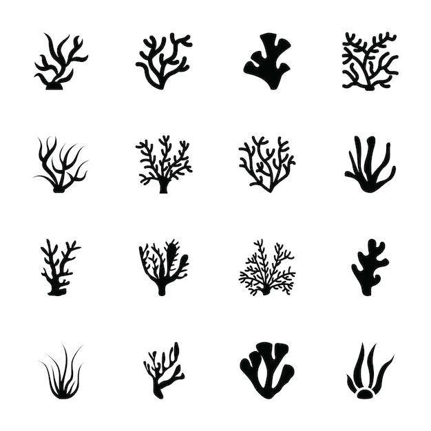 the silhouettes of seaweed and corals are shown in black on a white background