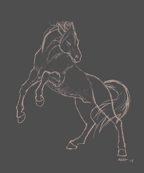 a drawing of a horse on a dark background with the words, how to draw a horse