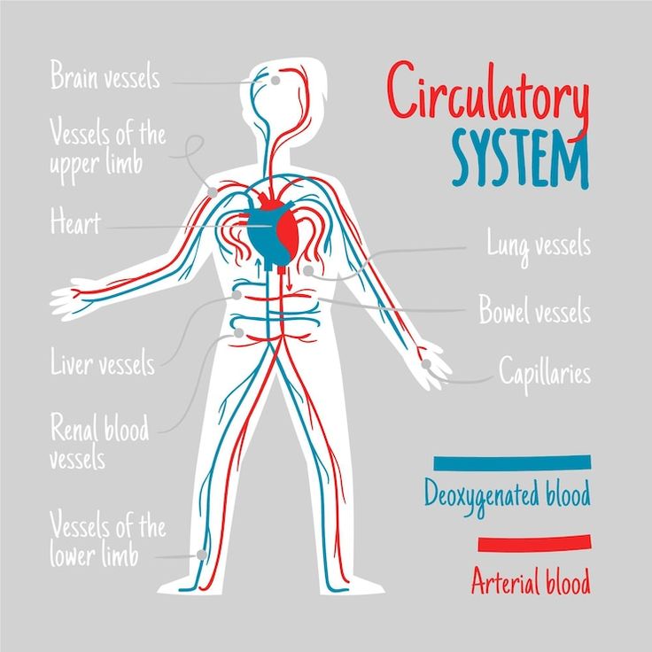 the circulator system with labels on it