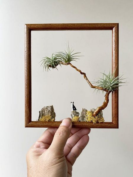 a person holding up a small frame with plants in it and rocks on the ground