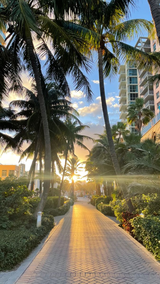 the sun shines through palm trees on a walkway in front of some tall buildings