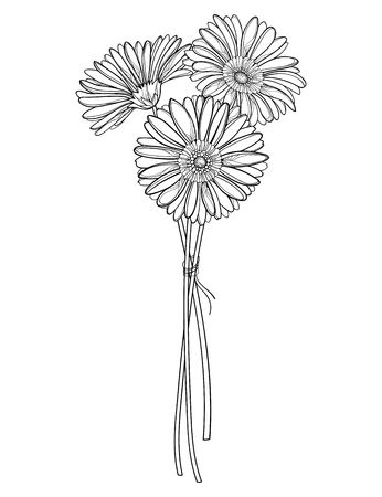 three daisies in a line drawing style