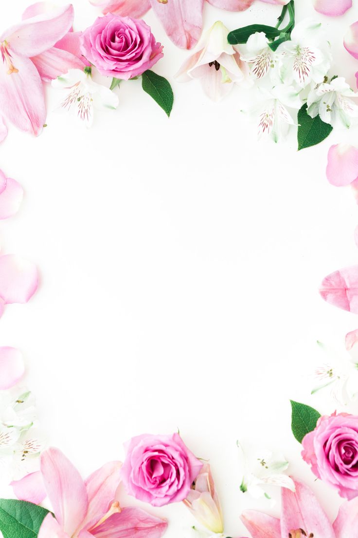 pink roses and white orchids arranged in a circle on a white background with space for text