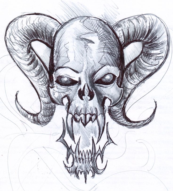 a drawing of a ram skull with horns