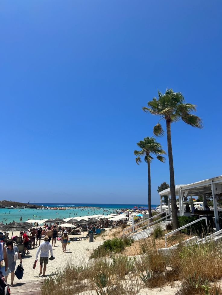 many people are walking on the beach with palm trees and blue water in the background