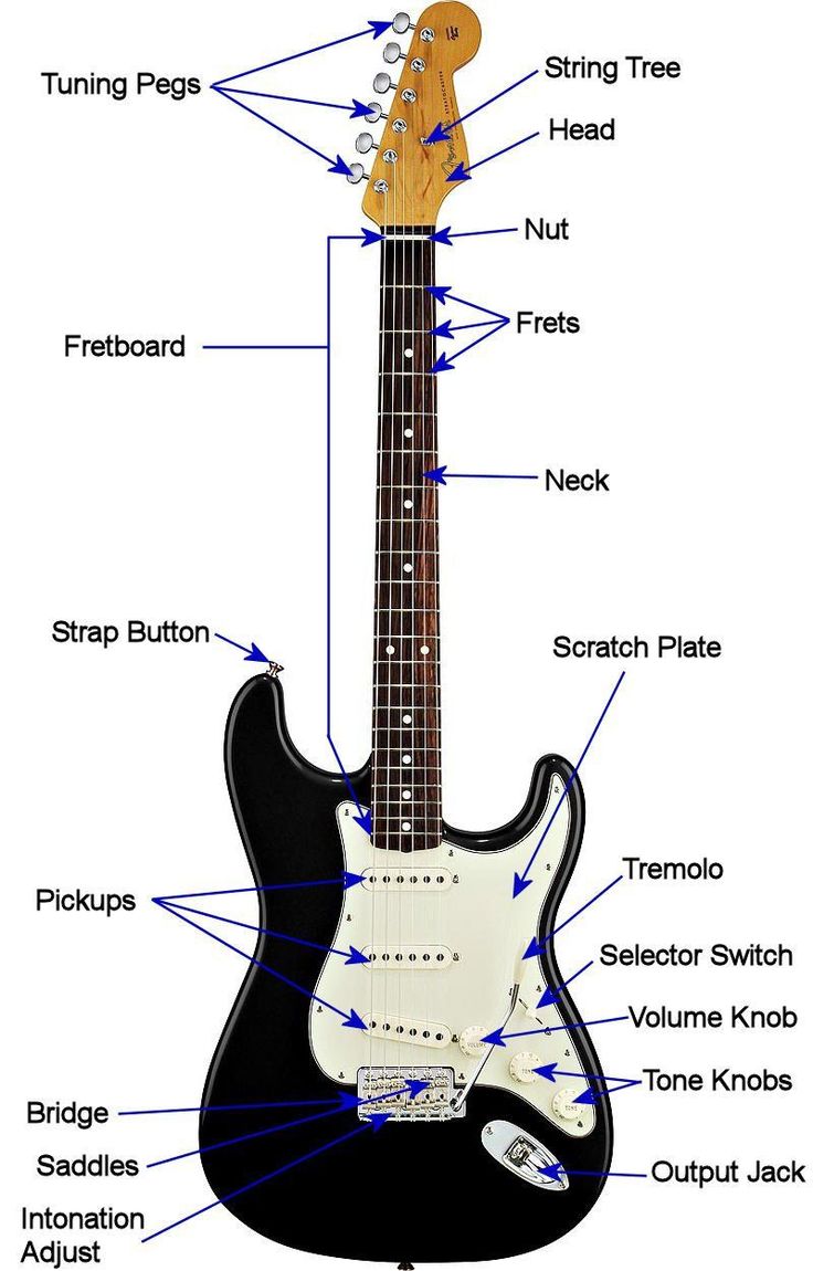 an electric guitar labeled in the body and parts on it's neck, with all its features labelled