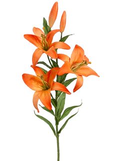 an orange flower with green stems on a white background