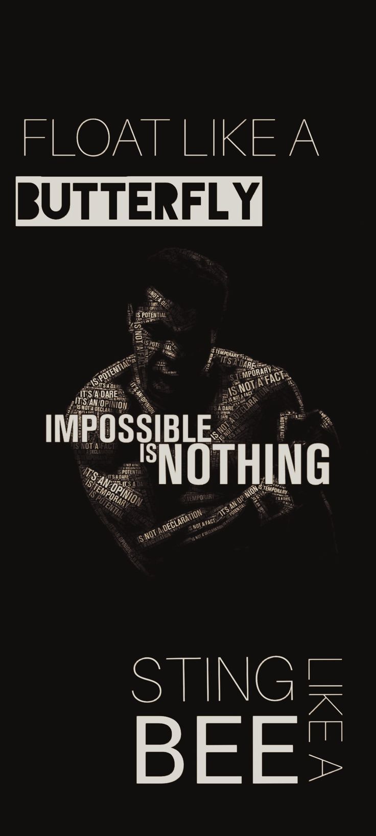 a poster with the words, float like a butterfly impossible is nothing stinging at bee