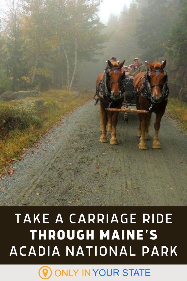 two horses pulling a carriage down a dirt road with trees in the background and text that reads, take a carriage ride through maine's acadia national park