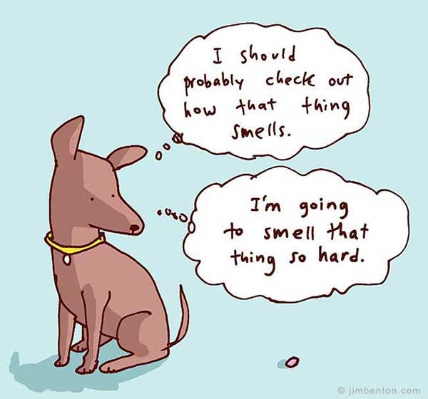 a cartoon dog sitting in front of a thought bubble with the words i should probably check out how that thing smells