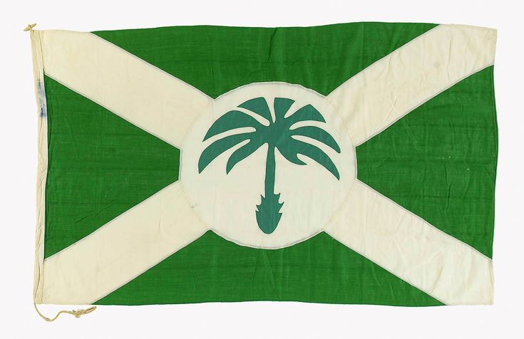 a green and white flag with a palm tree in the center on it's side