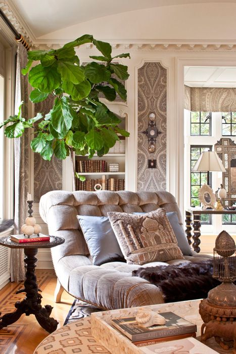 a living room filled with furniture and a large potted plant