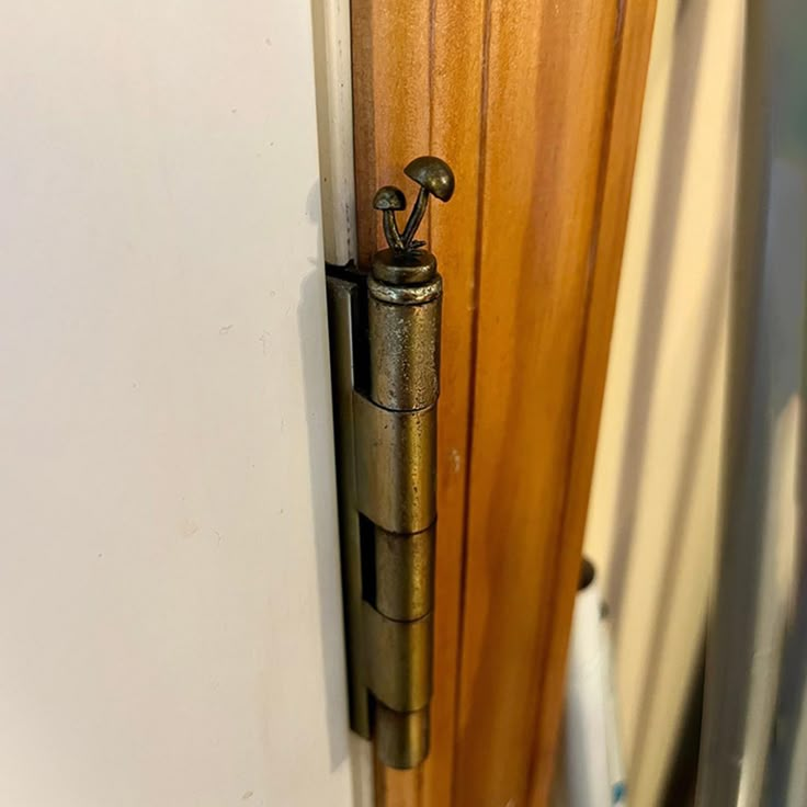 an open door with a metal handle on it's side and the bottom part of the door closed