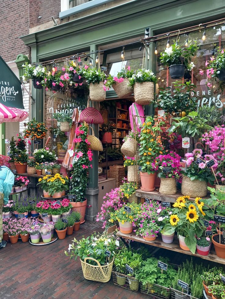 a flower shop with lots of potted plants