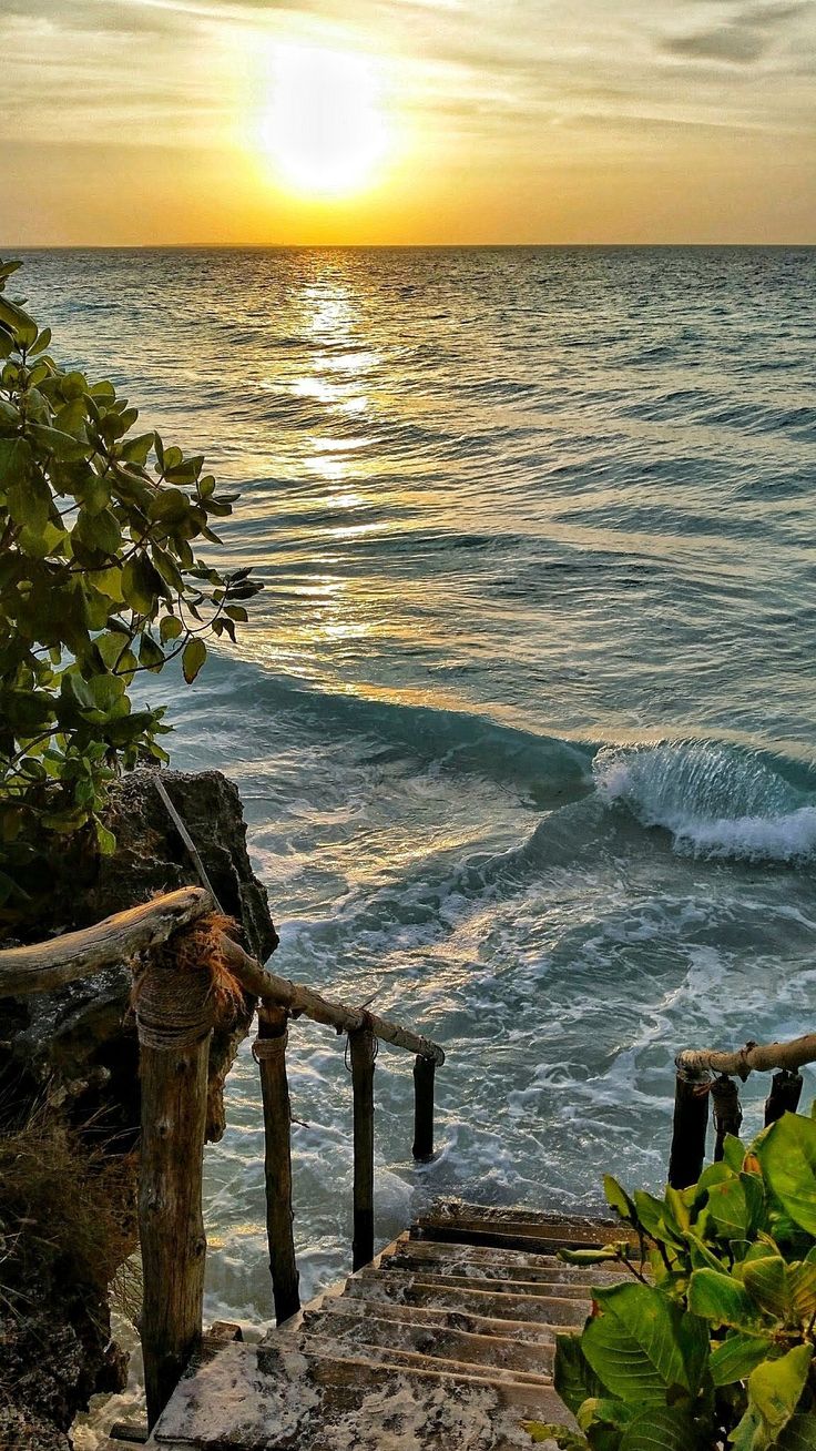 the sun is setting over the ocean with waves coming in from the water and trees growing on the shore