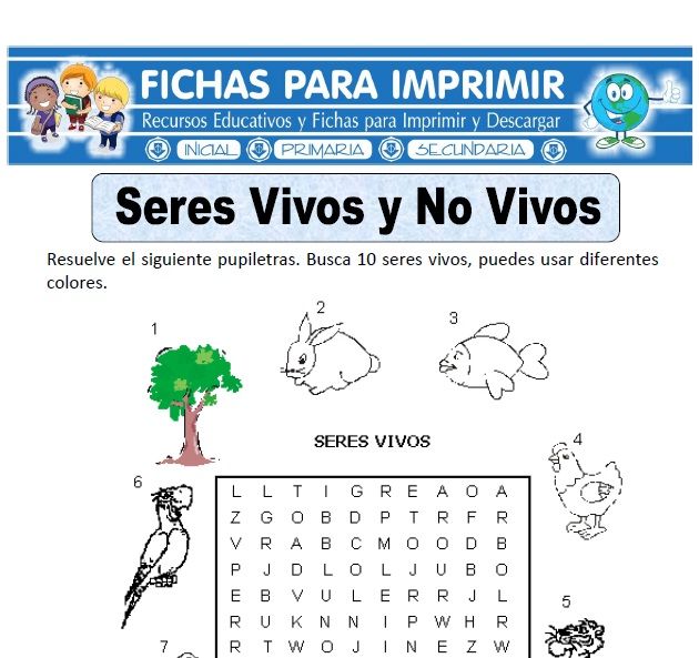 Ficha De Seres Vivos Y No Vivos Para Primaria Fichas - vrogue.co