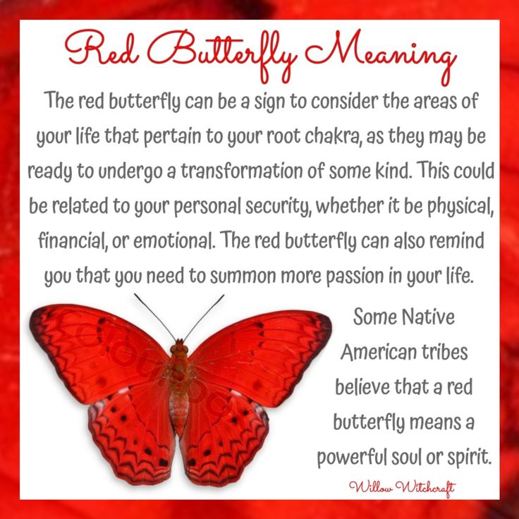 a red butterfly sitting on top of a piece of paper with the words red butterfly meaning