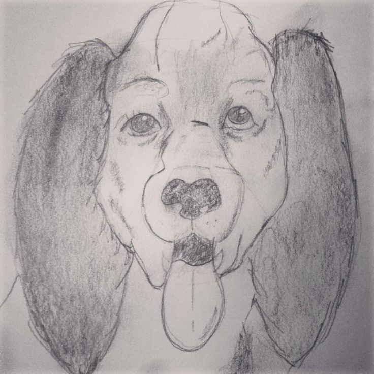 a drawing of a dog with its tongue out