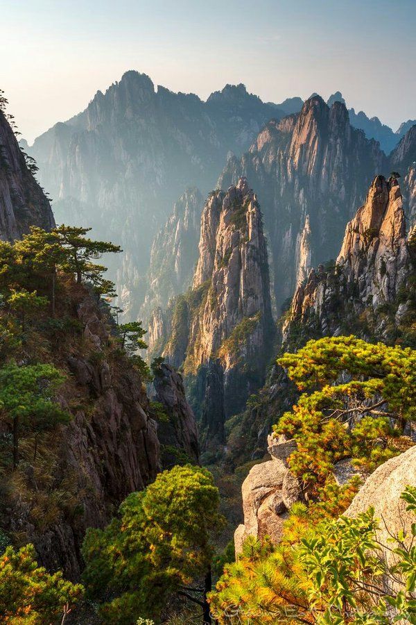 the mountains are covered with trees and rocks