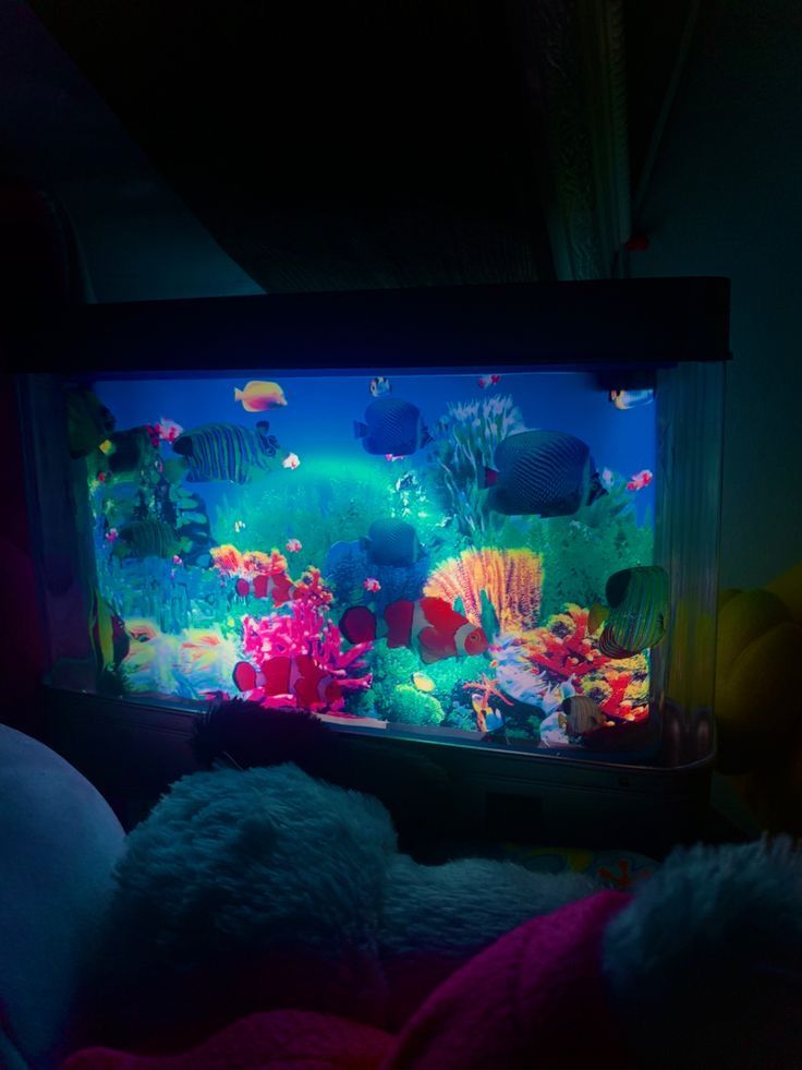 a fish tank is lit up in the dark with colorful lights on it's sides