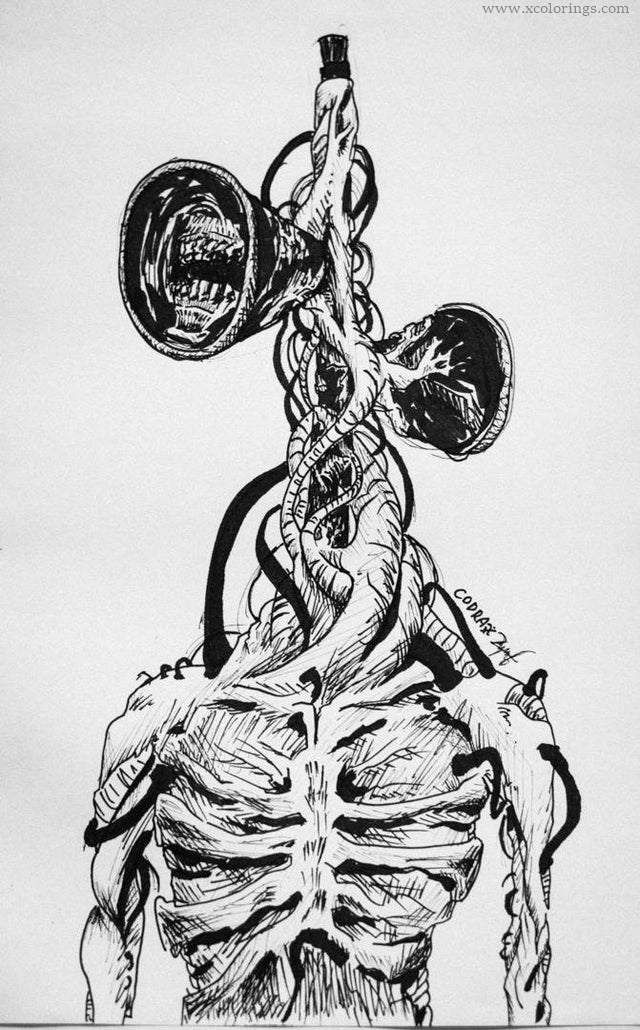 a black and white drawing of a skeleton holding two dumbbells