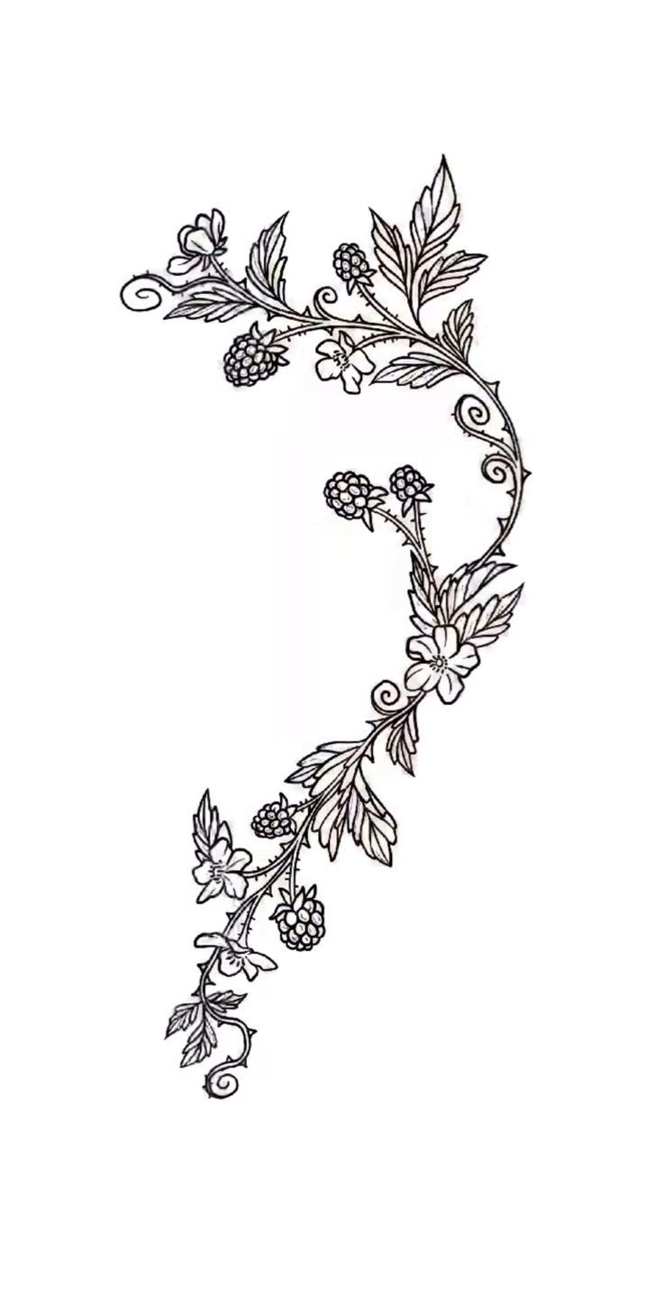 the letter s is made up of berries and leaves on it's side,