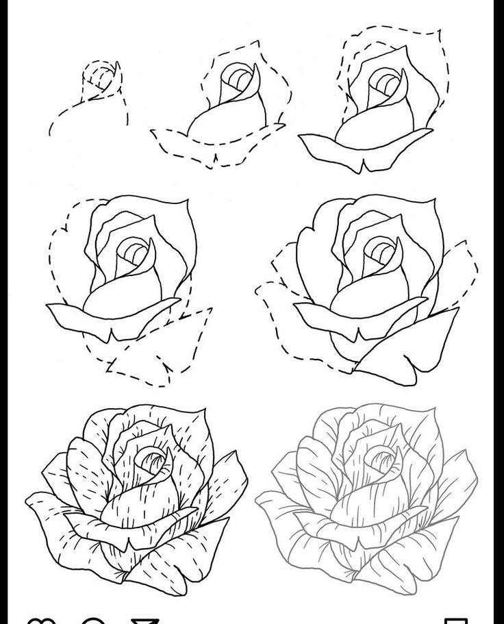 four roses that have been drawn in the shape of hearts and flowers with words rose on them