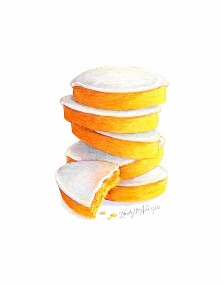 a drawing of sliced oranges on a white background