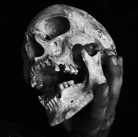 a human skull being held up to the camera