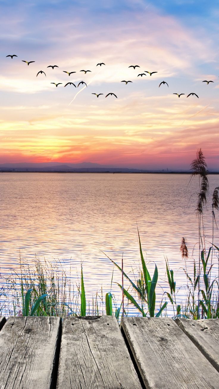 birds flying over the water at sunset with an old wooden table in front of it