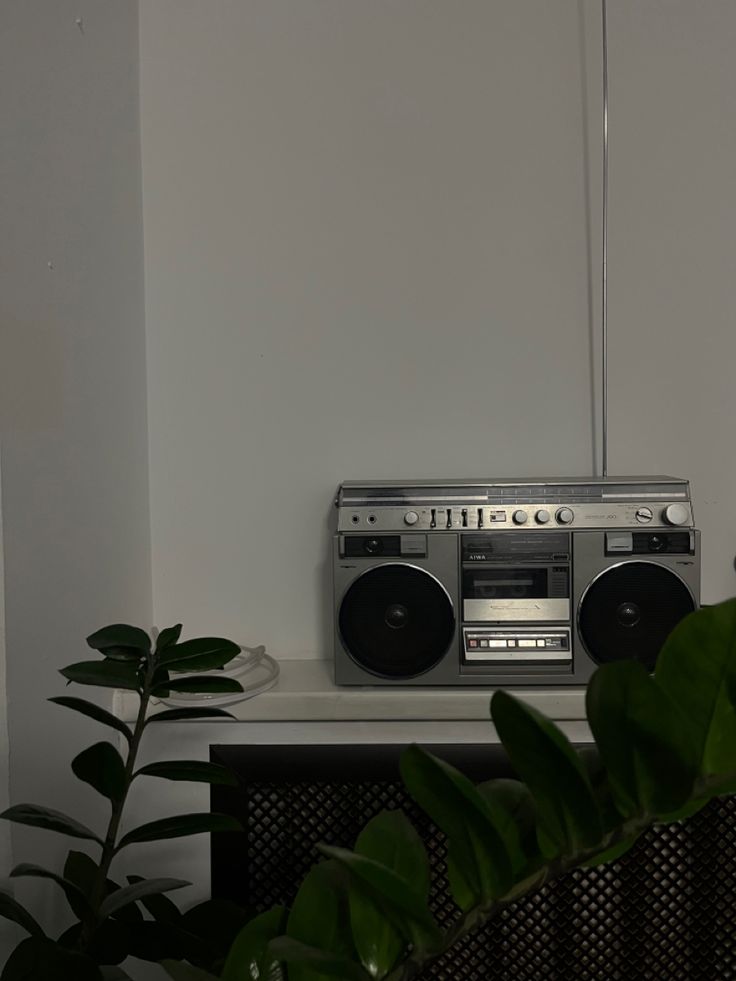 an old fashioned radio sitting on top of a shelf next to a potted plant