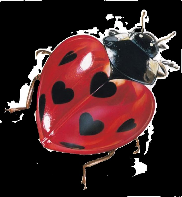 a lady bug with hearts on its back