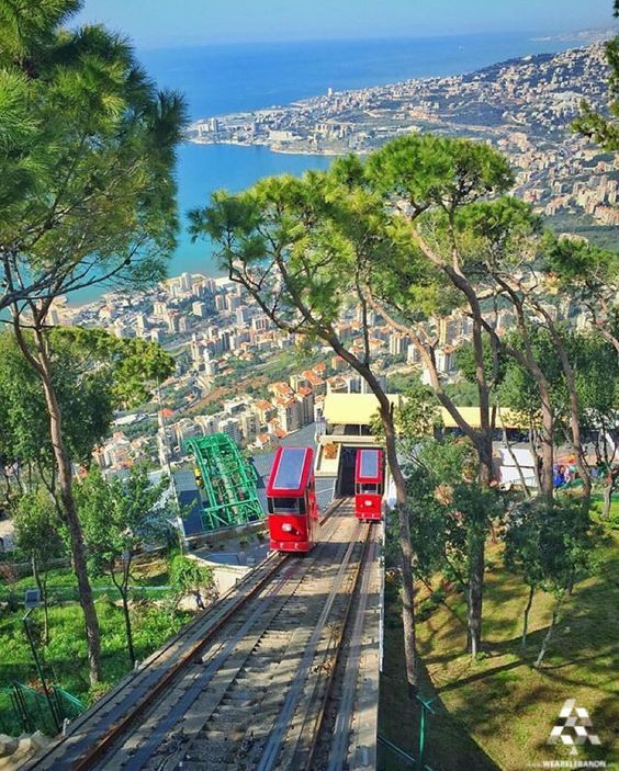 two red trains on tracks near trees and the ocean in the background with cityscape