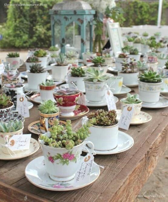 a table topped with lots of cups and saucers filled with succulents