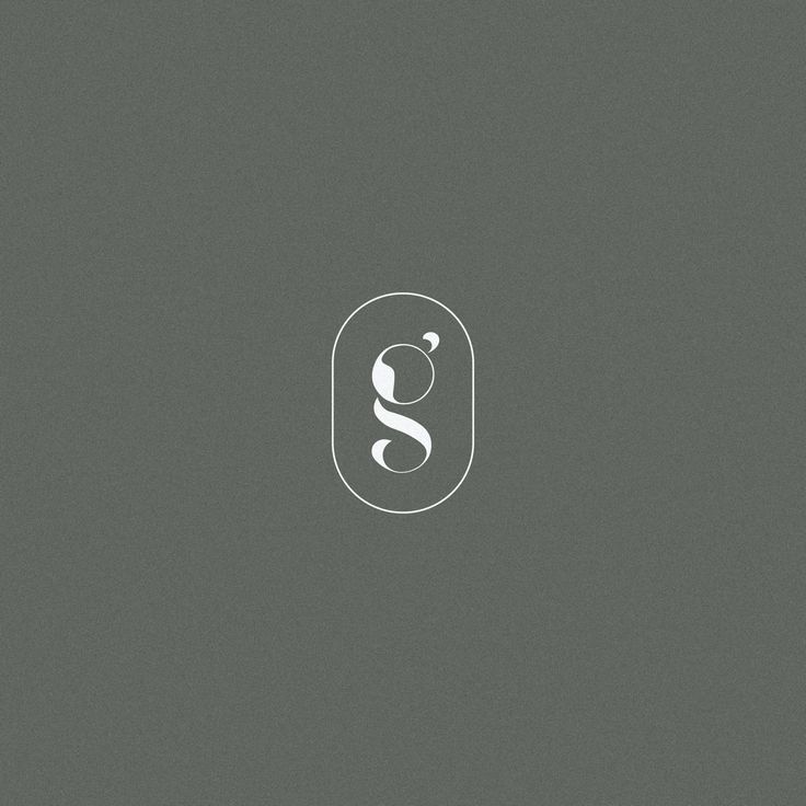 the letter s is inscribed in white on a gray background