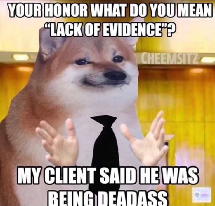 a dog wearing a tie and saying, your honor what do you mean lack of evidence? my client said he was being dead