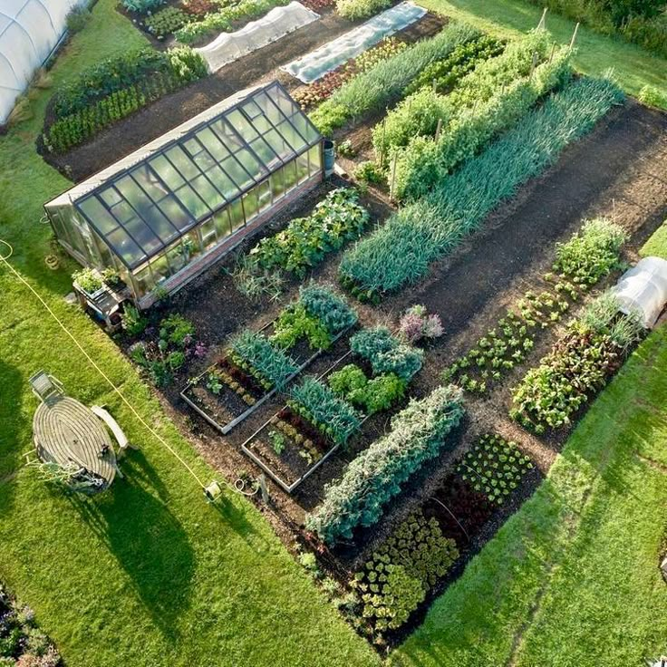 an aerial view of a garden with lots of plants