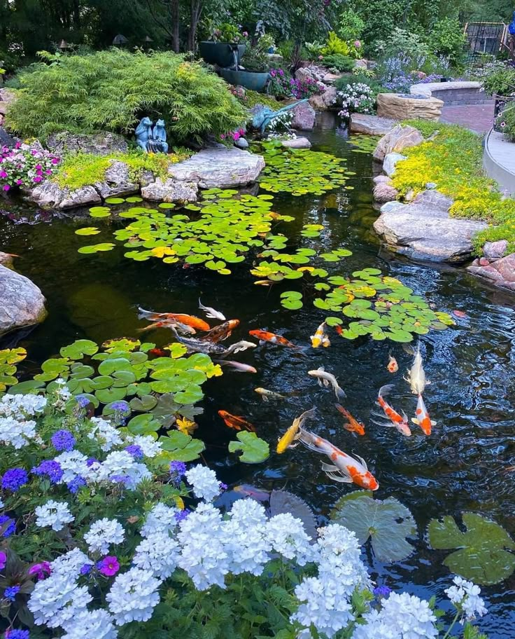 a pond filled with lots of water lilies