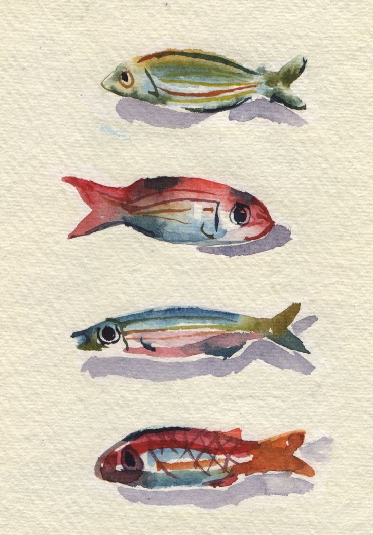 four different types of fish in watercolor on paper