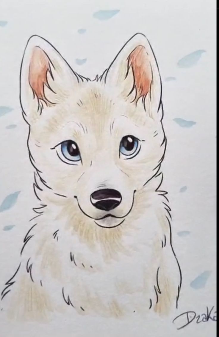 a drawing of a white dog with blue eyes