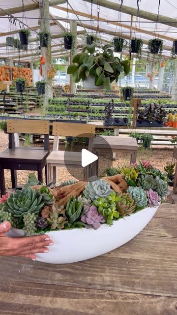 someone is holding their hands over a bowl filled with succulents and other plants