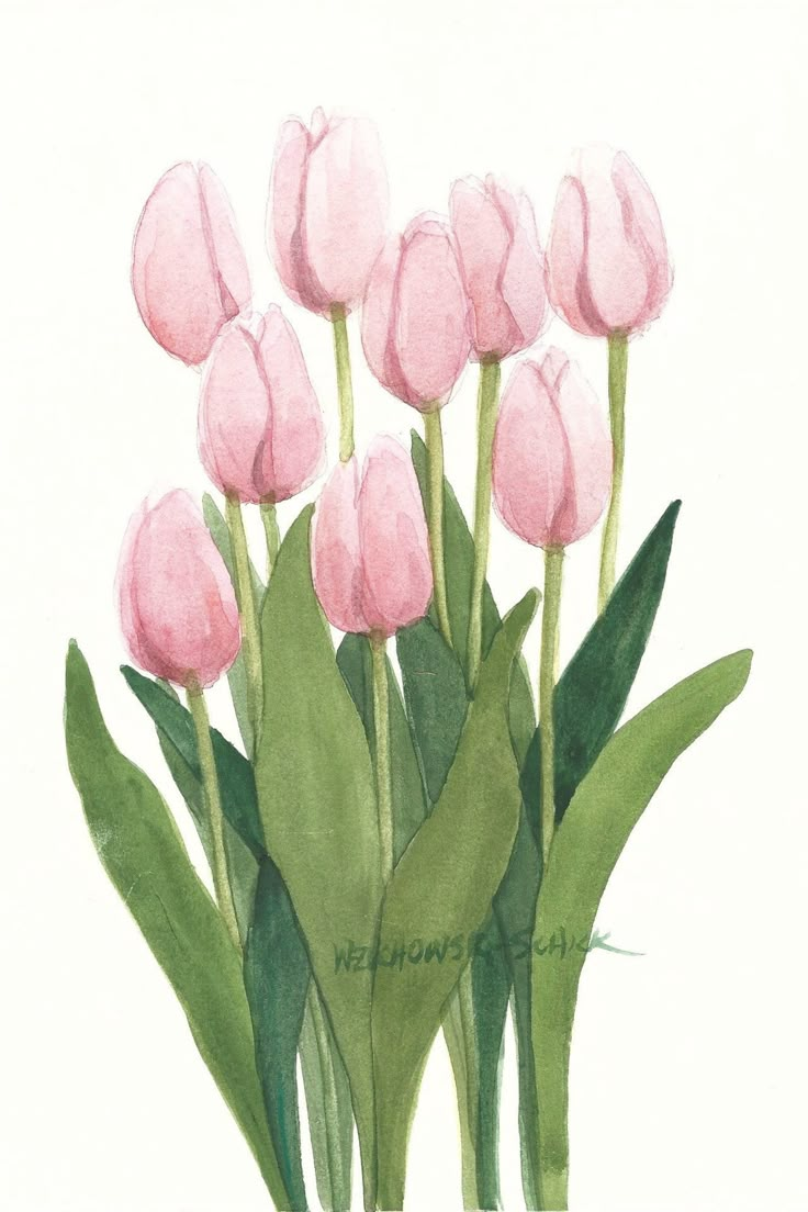 a watercolor painting of pink tulips with green leaves