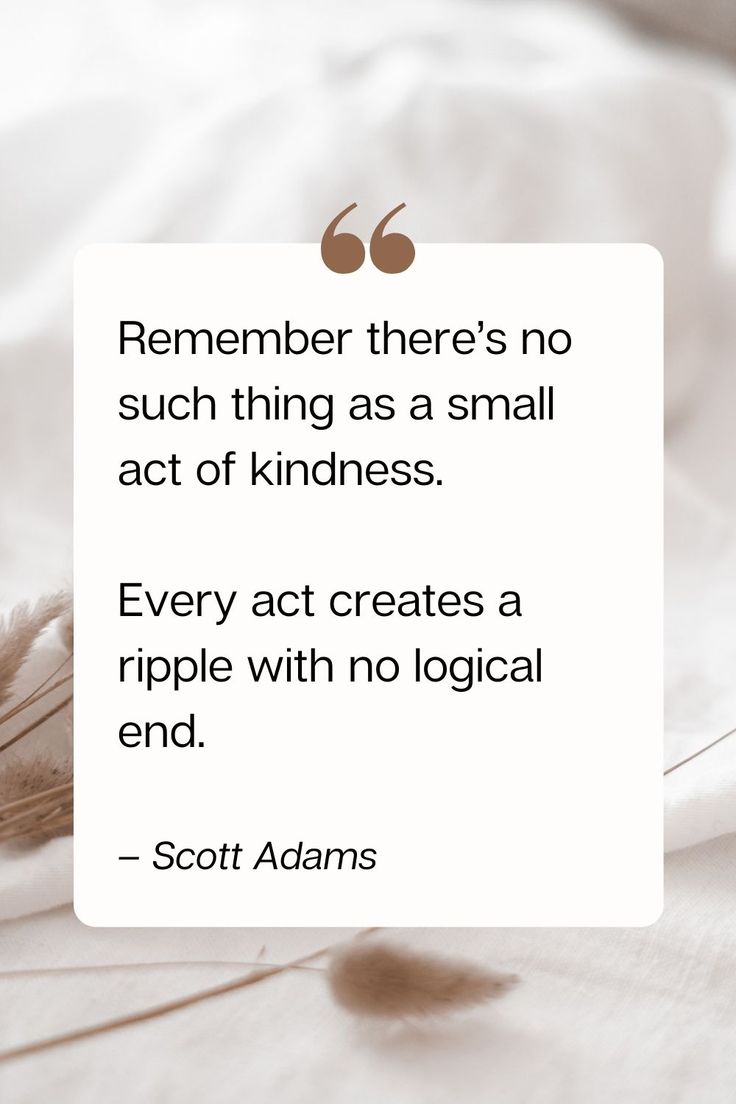 a quote from scott adams about kindness