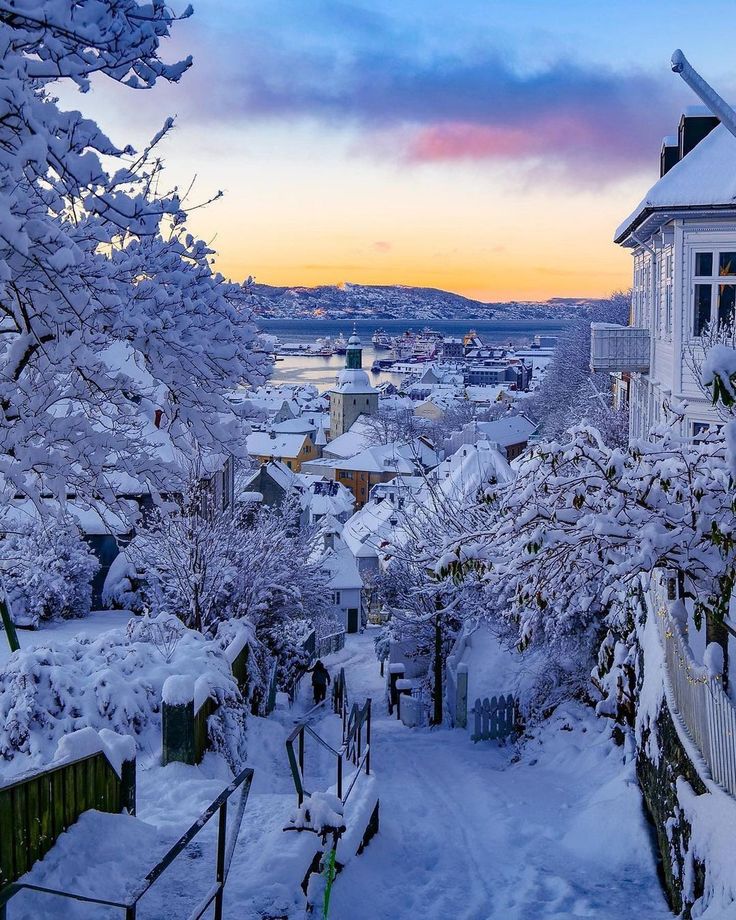 a snowy street with houses and trees in the foreground, at sunset or dawn